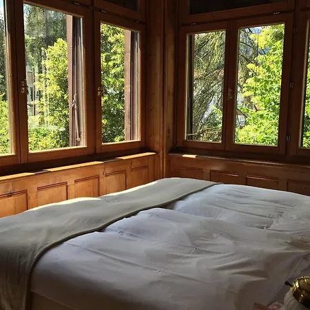 Stilvolle 3-zimmer In Jugendstilvilla Flims